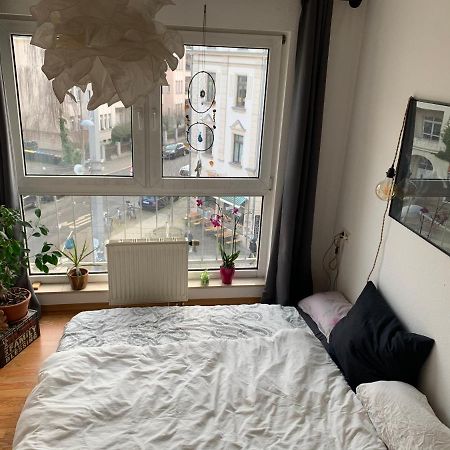 Am Clara-Zetkin-Park, Netflix, Lichtdurchflutet Apartment Leipzig Exterior photo