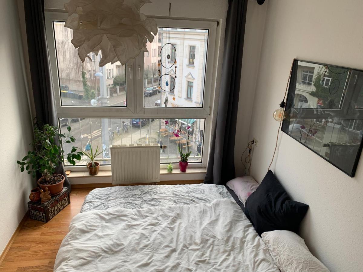 Am Clara-Zetkin-Park, Netflix, Lichtdurchflutet Apartment Leipzig Exterior photo